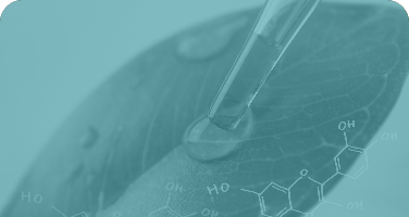 composition_of_puralid